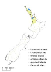 Hypericum gramineum distribution map based on databased records at AK, CHR and WELT.
 Image: K. Boardman © Landcare Research 2014 